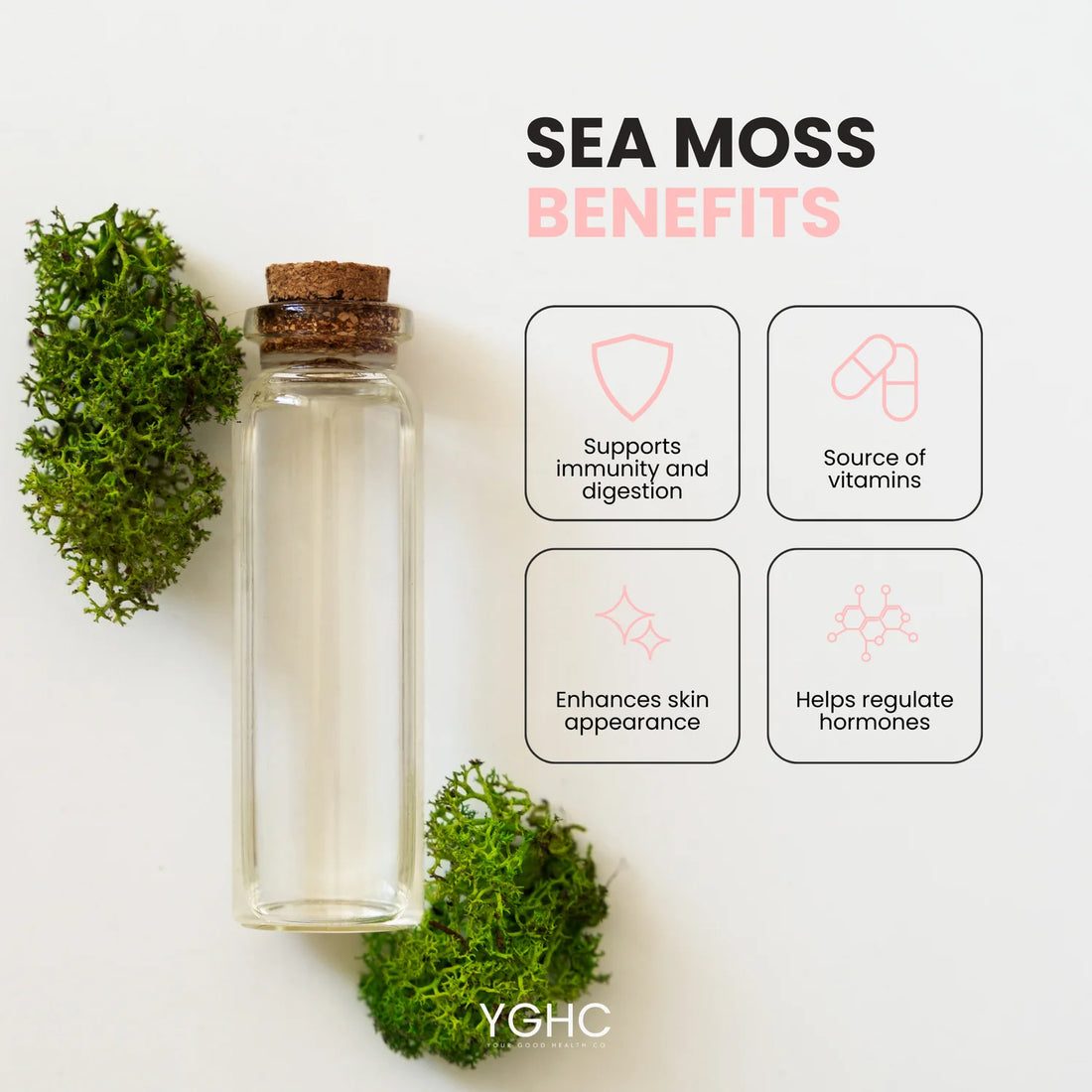 130 Day Sea Moss+